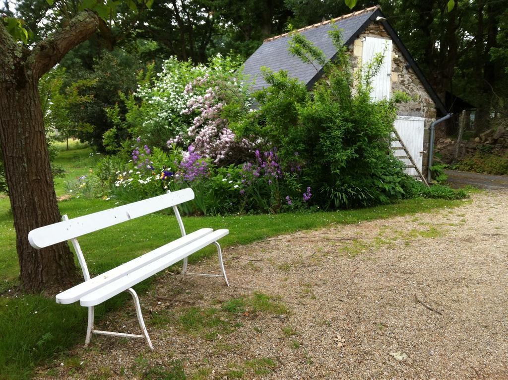 La Butte De Gohier Bed and Breakfast Blaison Eksteriør billede