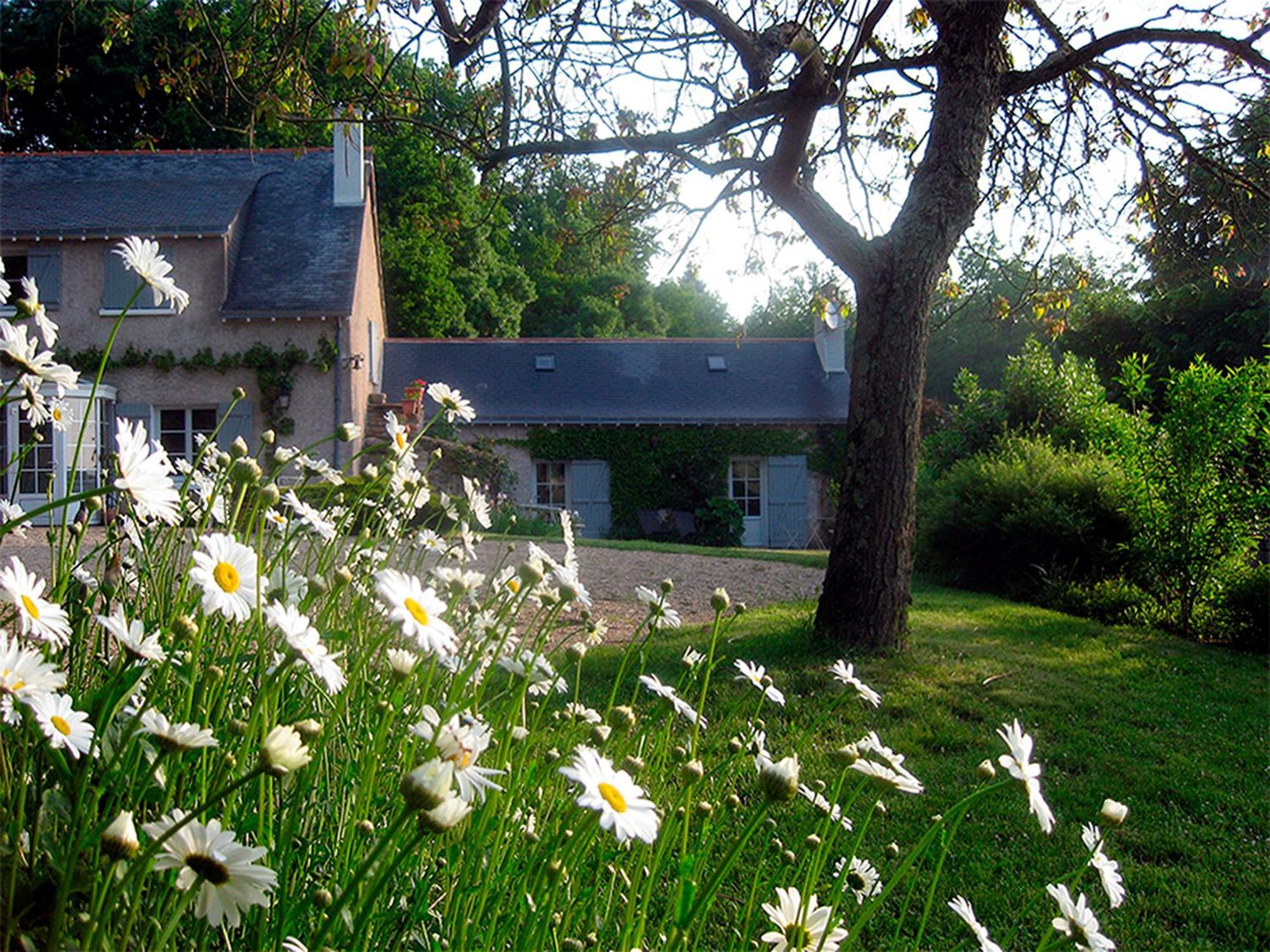 La Butte De Gohier Bed and Breakfast Blaison Eksteriør billede