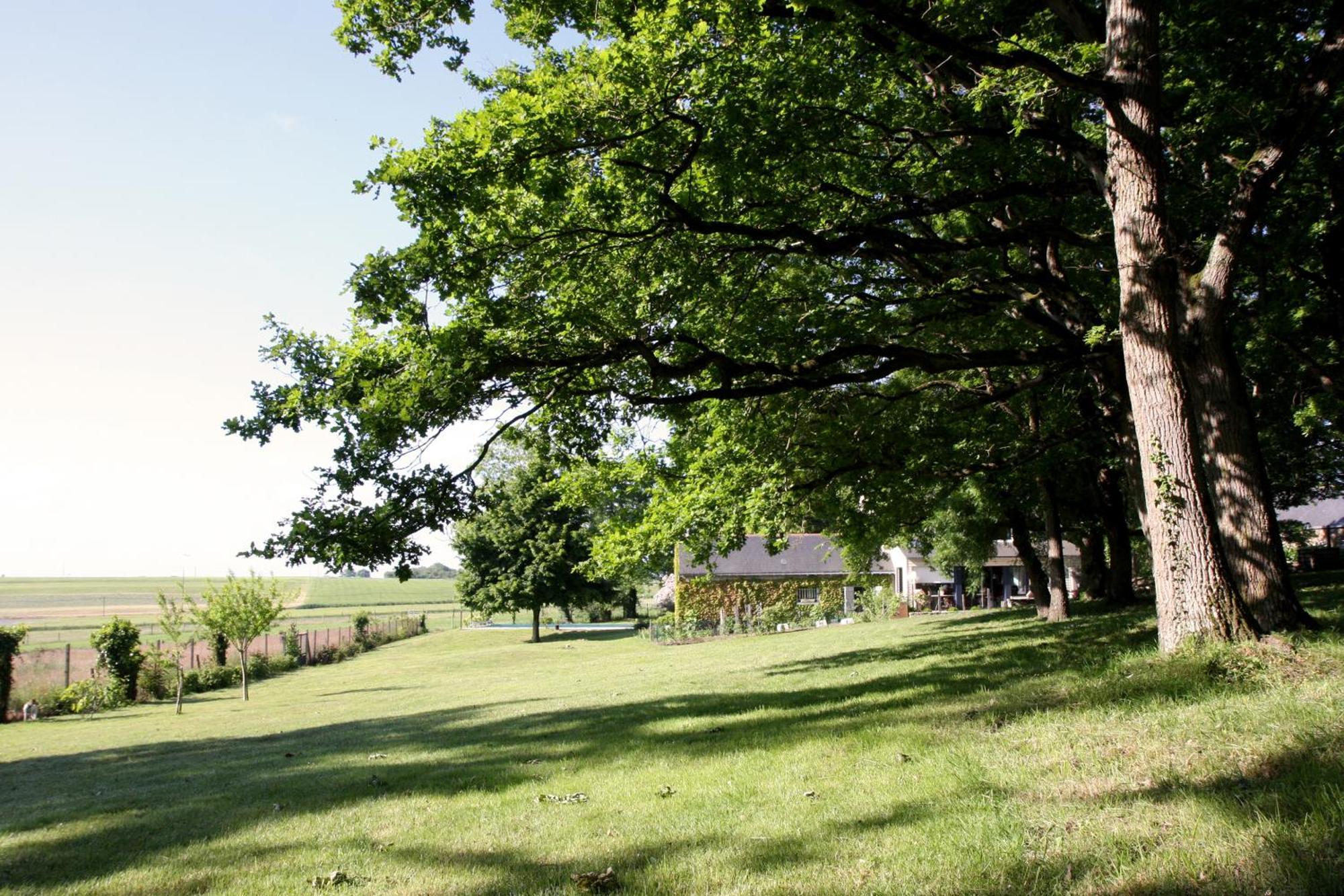 La Butte De Gohier Bed and Breakfast Blaison Eksteriør billede
