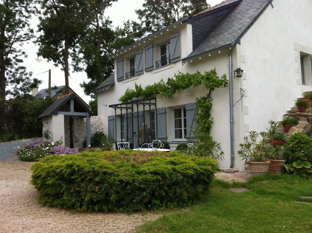 La Butte De Gohier Bed and Breakfast Blaison Eksteriør billede